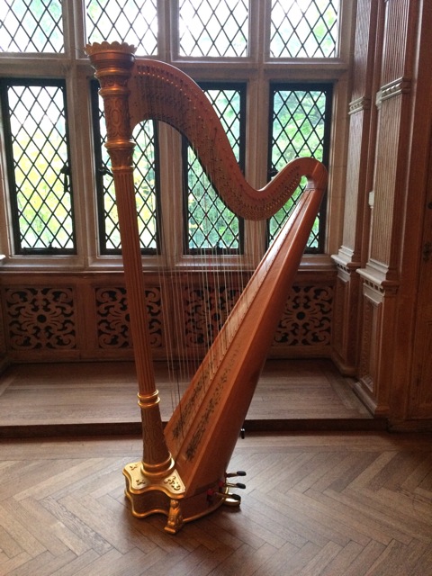 Glen Ellyn harpist Wheaton Illinois